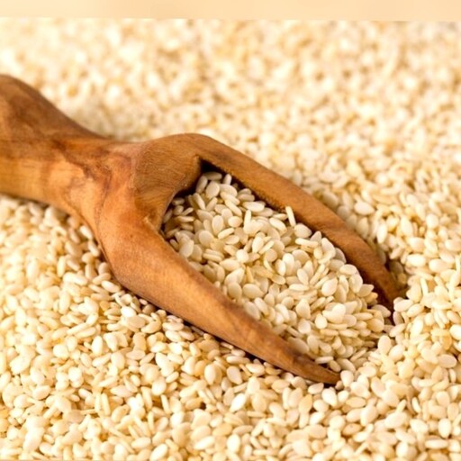 کنجد سفید پاکستانی