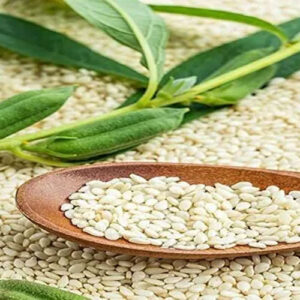 فروش عمده کنجد پاکستان